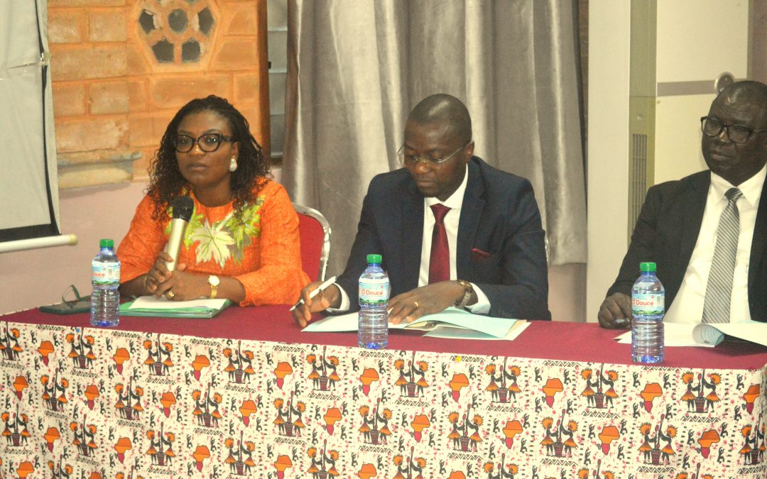 Atelier de restitution du rapport d’inventaire des immobilisations du sous-secteur de l’eau