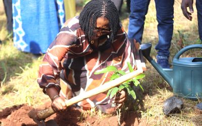 Journée nationale de l’arbre 2026,SP-EAU : planter l’arbre pour sécuriser durablement l’eau.